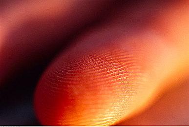 《Mirror 2: Project X》新角色白毛兽耳娘 将于4月7日上线